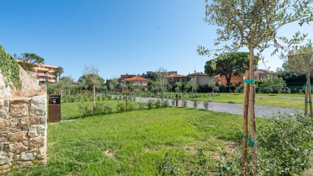 Agricamping-la-pietra-e-lulivo-pietra-ligure-17-field