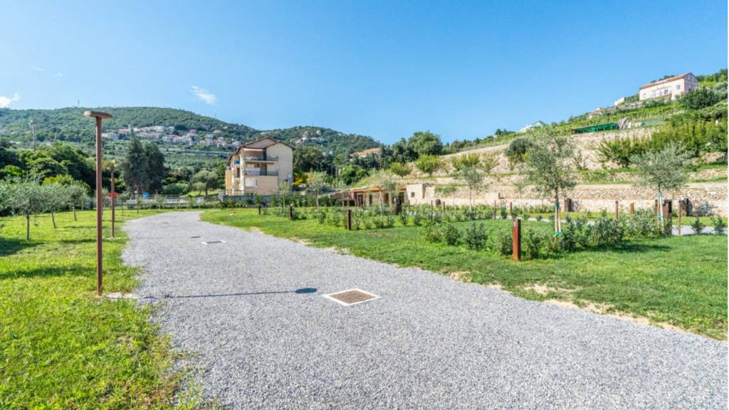 Agricamping-la-pietra-e-lulivo-pietra-ligure-19-field