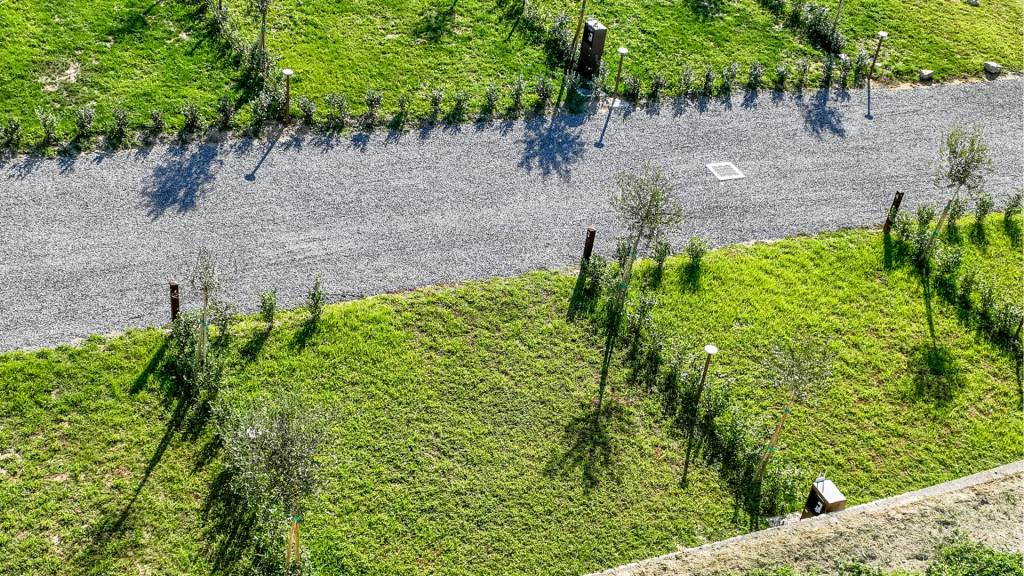 Agricamping-la-pietra-e-lulivo-pietra-ligure-15-field