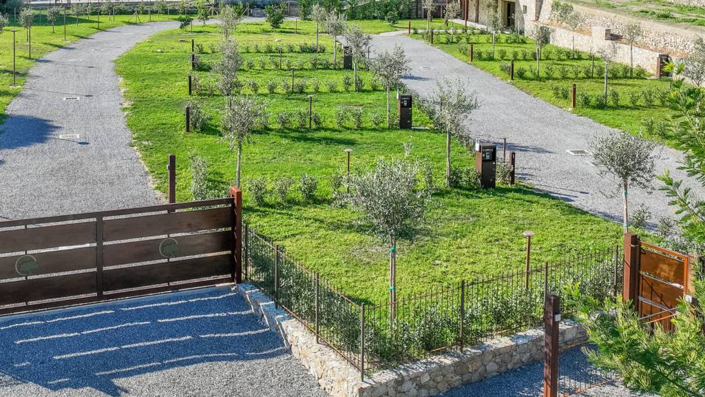 Agricamping-la-pietra-e-lulivo-pietra-ligure-16-field