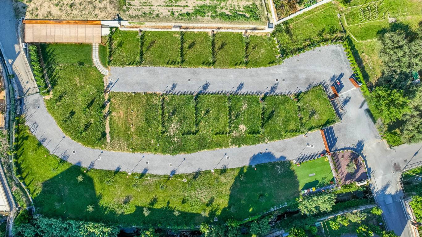 Agricamping-la-pietra-e-lulivo-pietra-ligure-20-campo